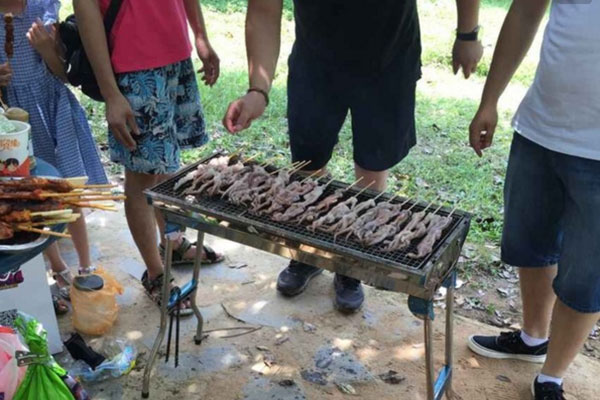 農家樂燒烤活動